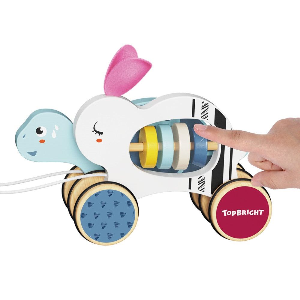 The Hare and the Tortoise Game