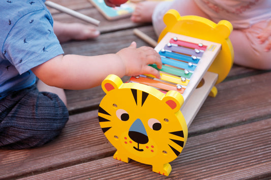 Τίγρη-ξυλόφωνο και σφυράκι με μπάλες