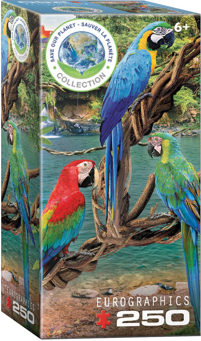 Macaw parrots puzzle, 250 pieces
