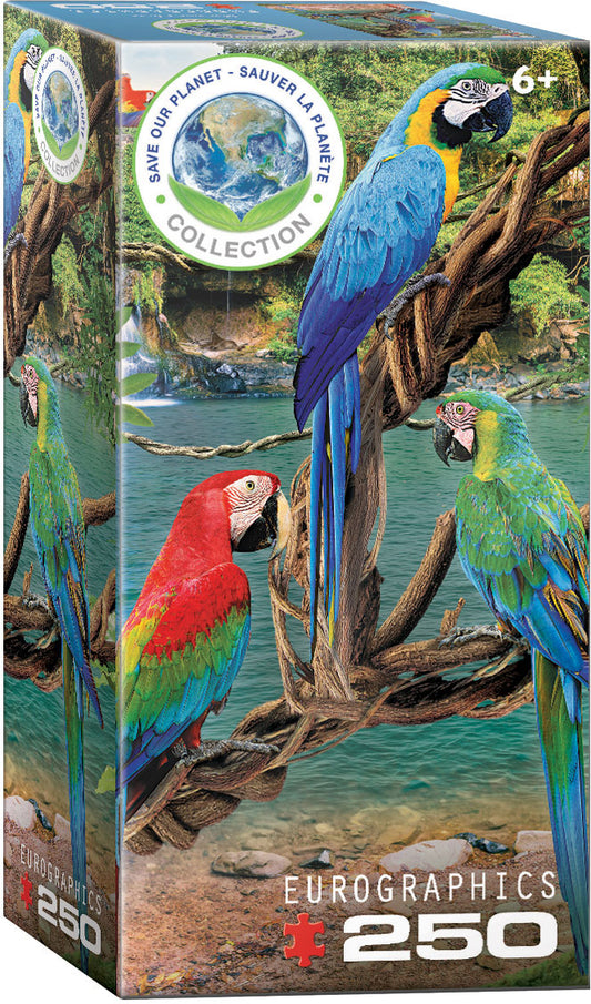 Macaw parrots puzzle, 250 pieces