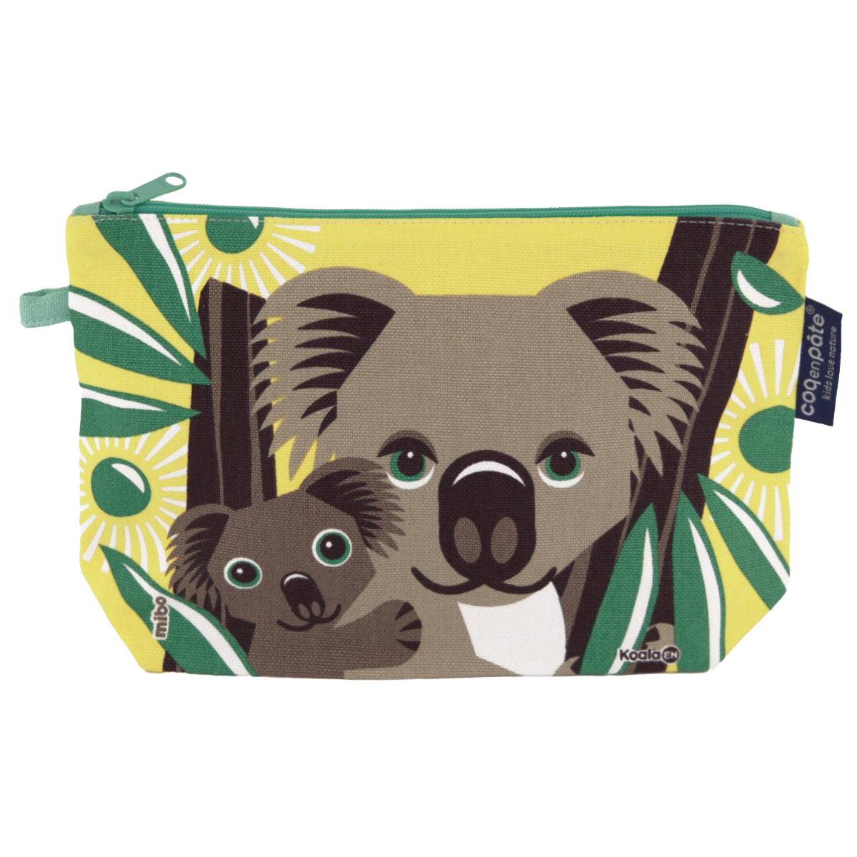 Κασετίνα, κοάλα