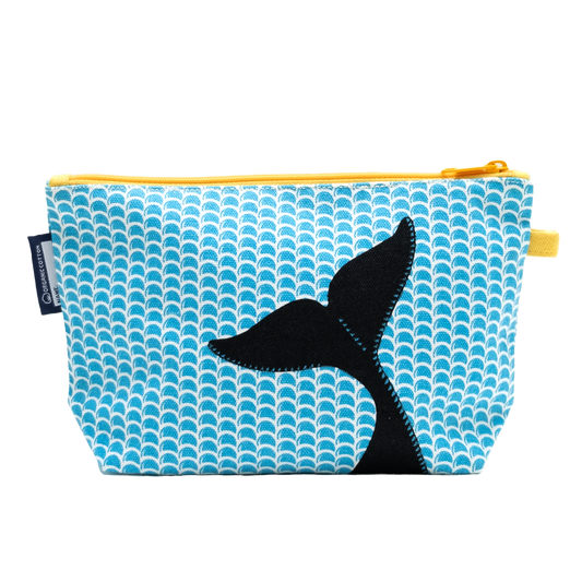 Κασετίνα, φάλαινα όρκα