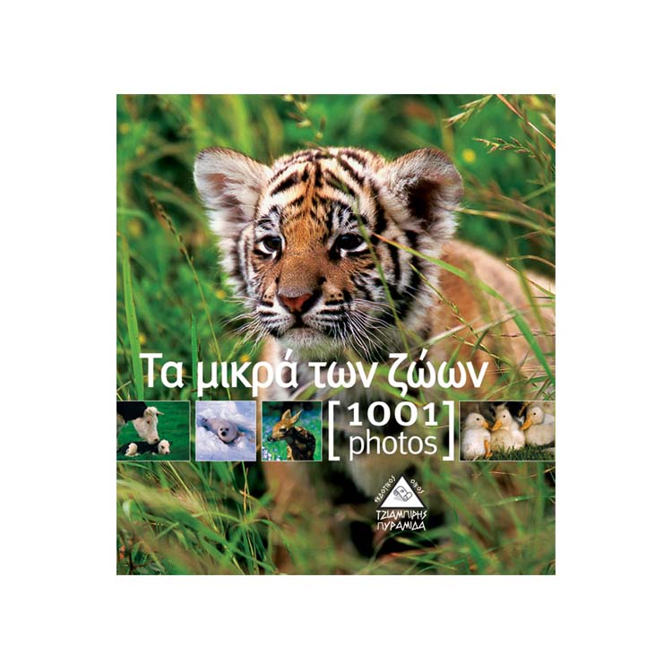 Τα μωρά των ζώων - 1001 photos