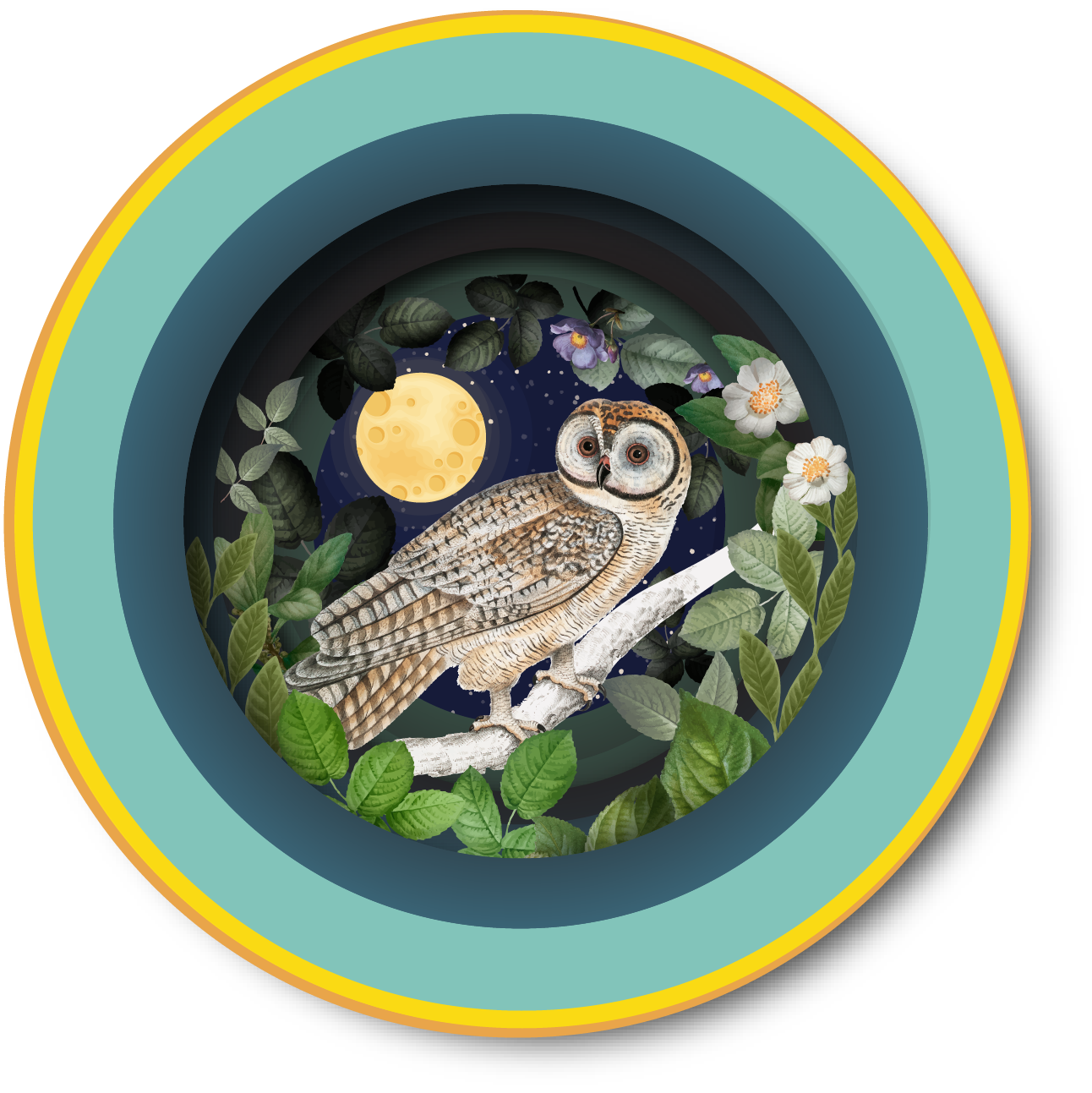 Ευχετήρια κάρτα 3D "Κουκουβάγια μες στην κούπα"