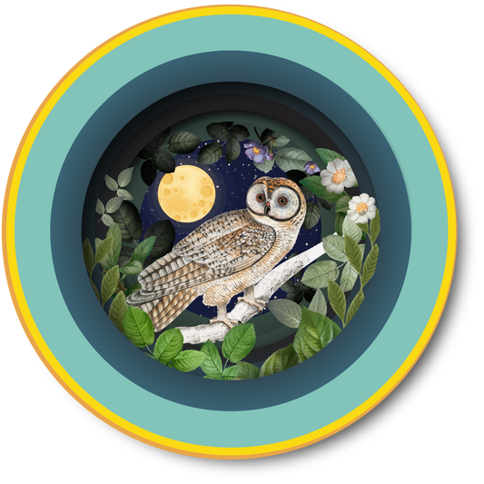 Ευχετήρια κάρτα 3D "Κουκουβάγια μες στην κούπα"