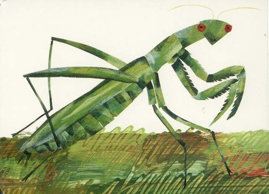 A Very Silent Cricket - Eric Carle
