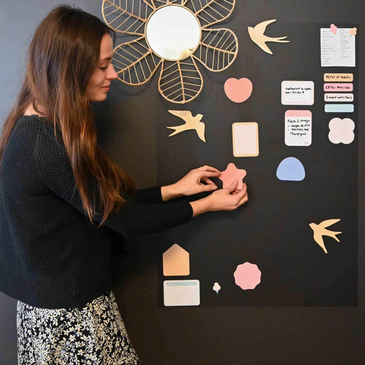 Ferflex note magnet set