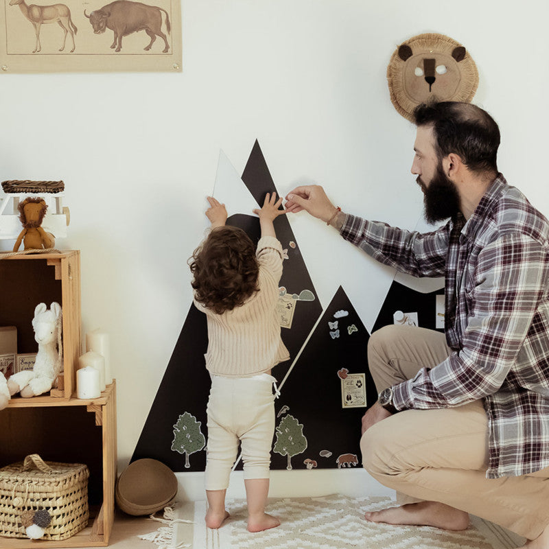 Magnetic board Ferflex range