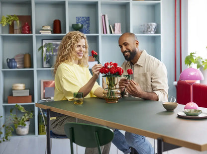 Lego Botanicals Bouquet of roses 10328