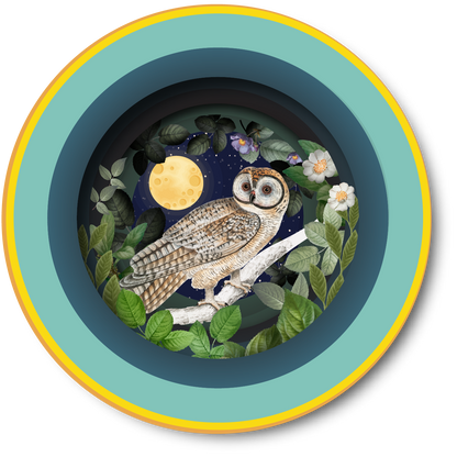 Ευχετήρια κάρτα 3D "Κουκουβάγια μες στην κούπα"